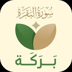 بركة
